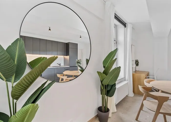 Apartamento Clausen Serenity Cozy